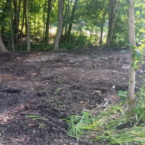 Barn Demo and Land Clearing