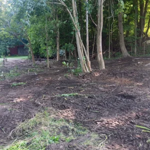 Barn Demo and Land Clearing