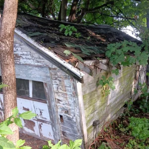 Garage Demo and Clean Up