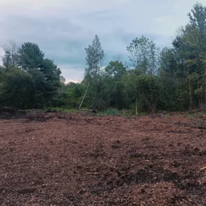 Land Clearing